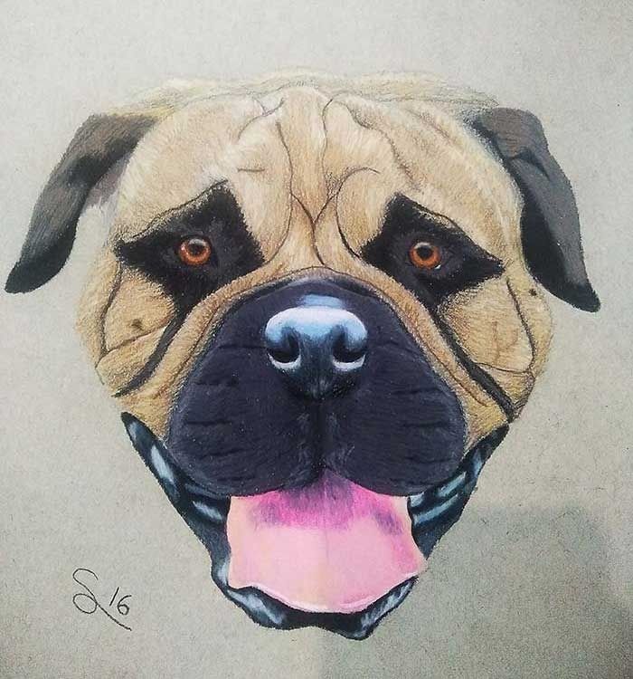 Un dibujo de un perro pug con la lengua afuera