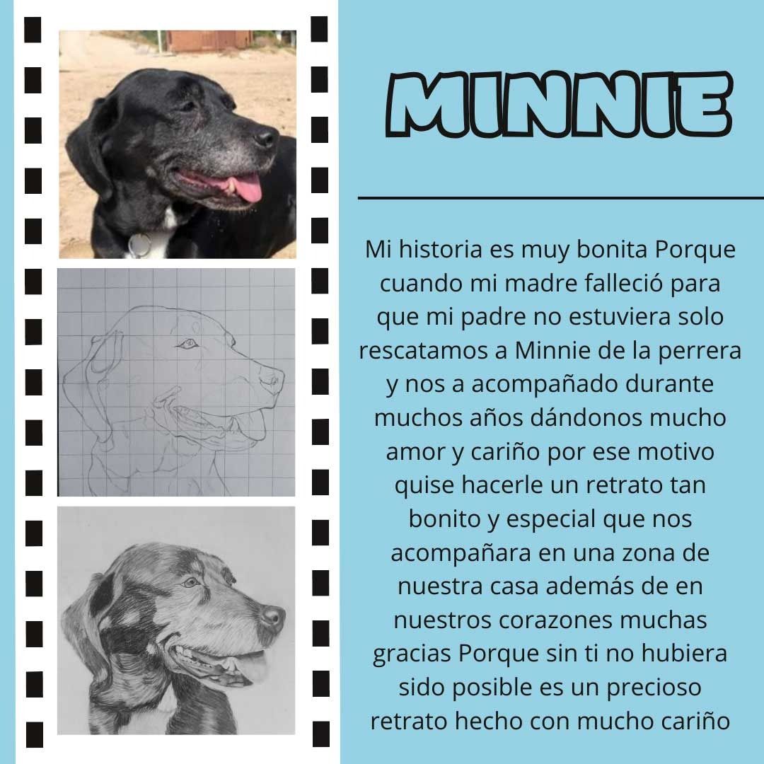 Una foto de un perro negro con el nombre Minnie.