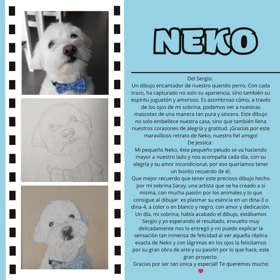 Neko es el nombre de un pequeño perro blanco.