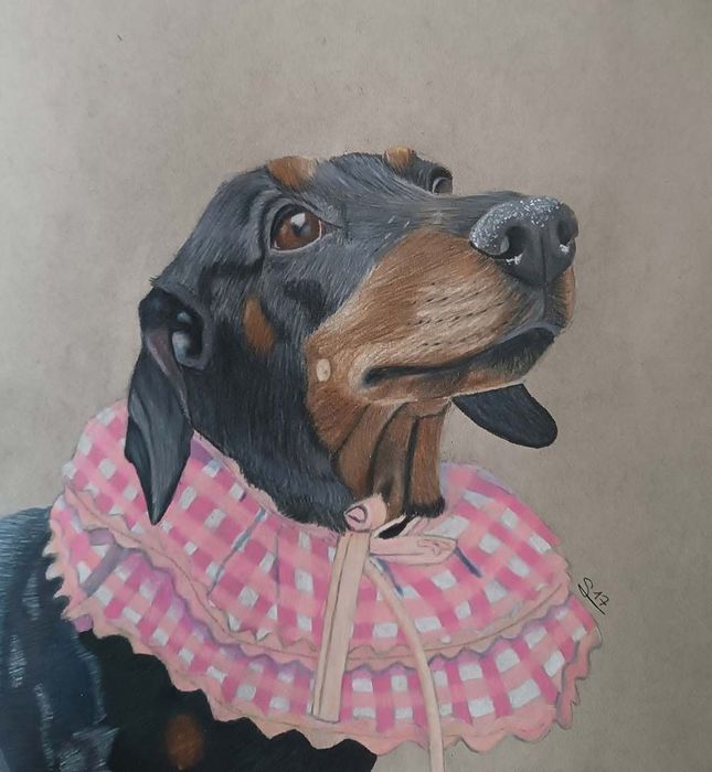 Un dibujo de un perro salchicha con un collar a cuadros rosa.