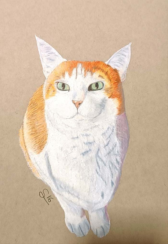 Un dibujo de un gato naranja y blanco con ojos verdes en un trozo de papel marrón.