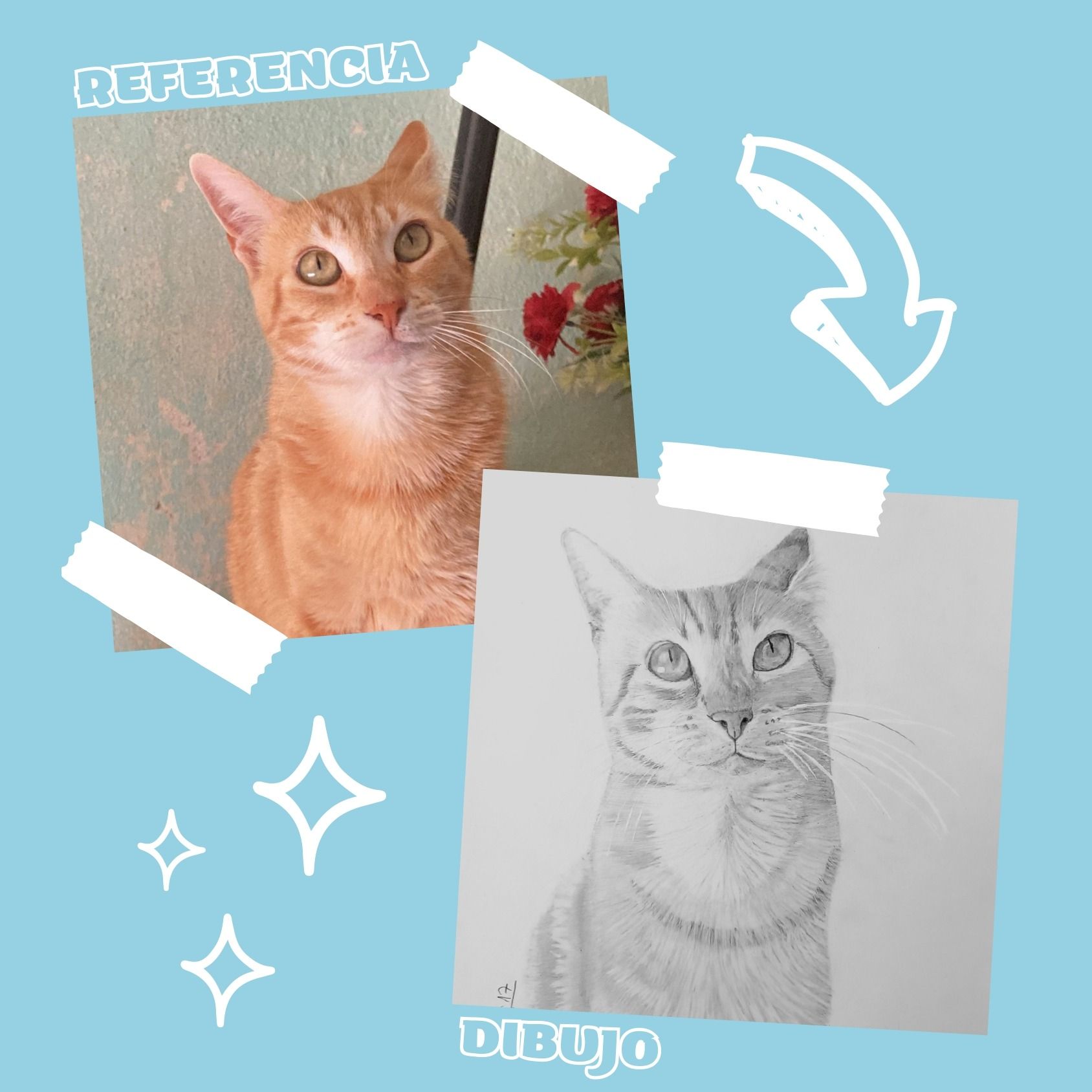 Una imagen de un gato junto a un dibujo del mismo gato.