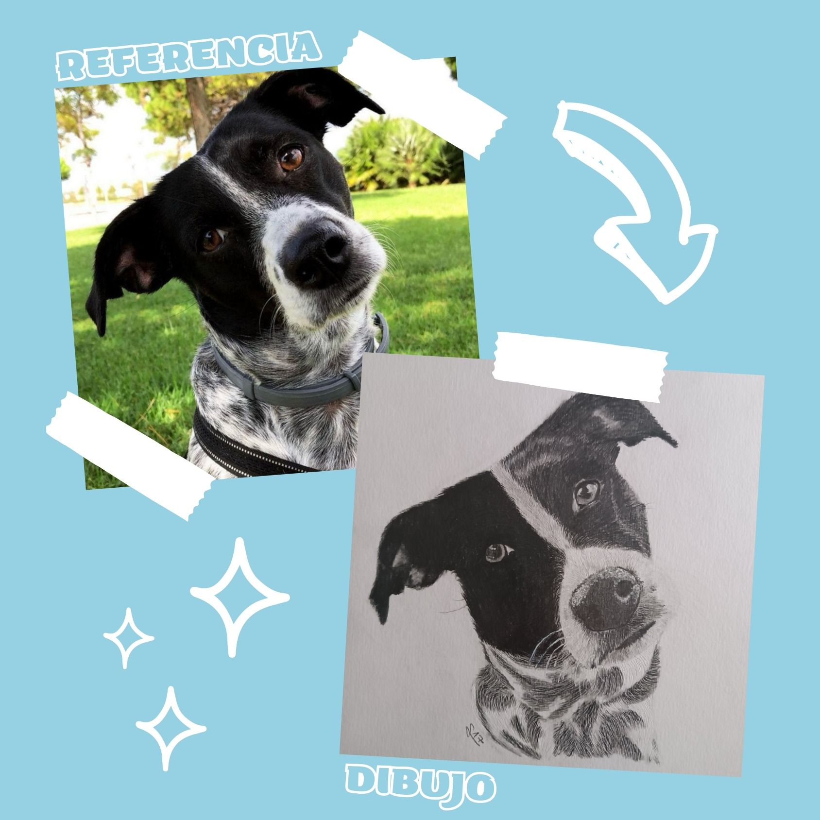 Una imagen de un perro blanco y negro junto a un dibujo del mismo perro.