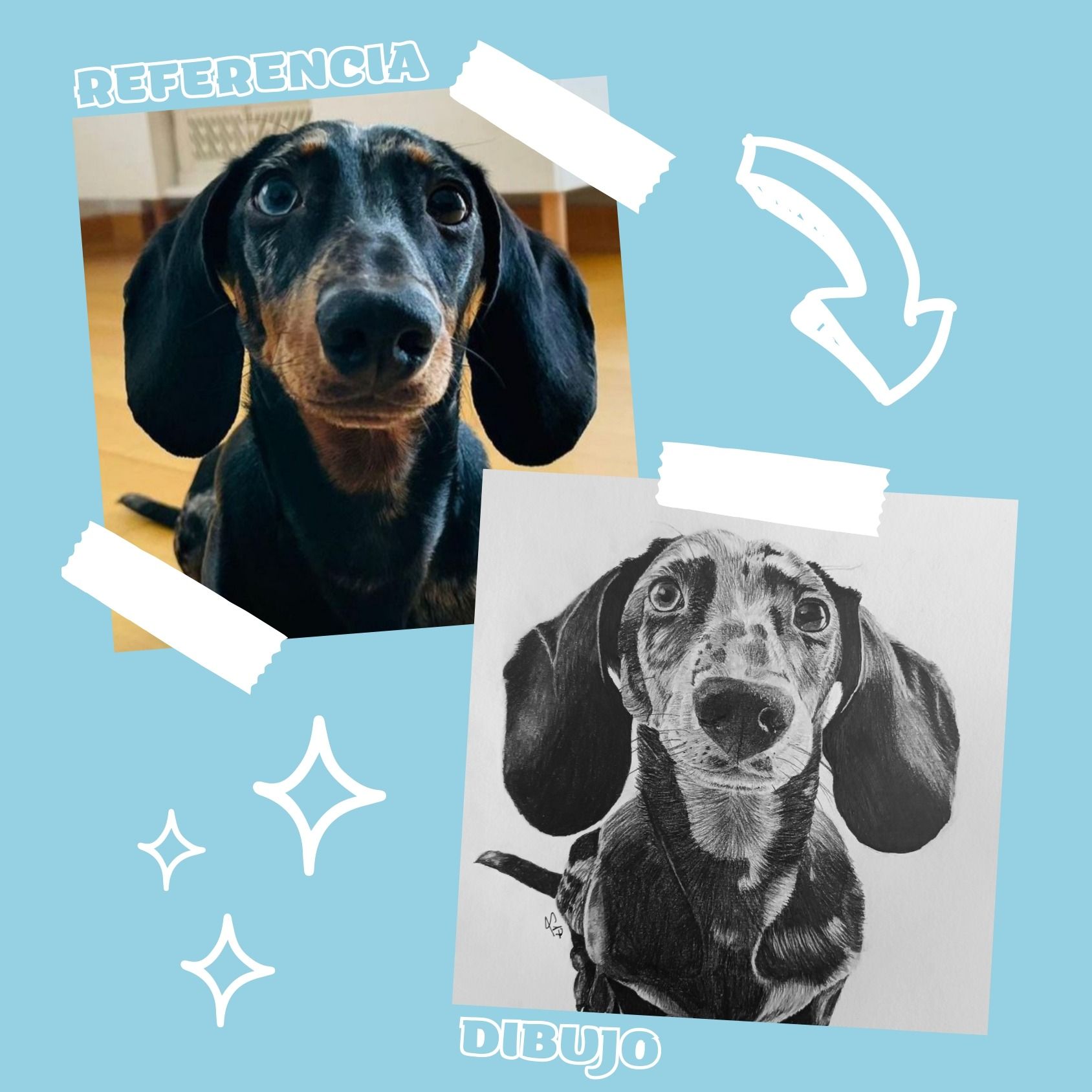 Una imagen de un perro salchicha junto a un dibujo del mismo perro.