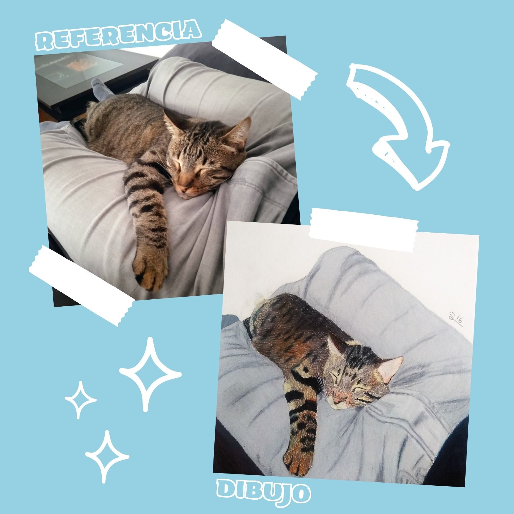 Un gato está acostado sobre una almohada con las palabras dibujo en la parte inferior.