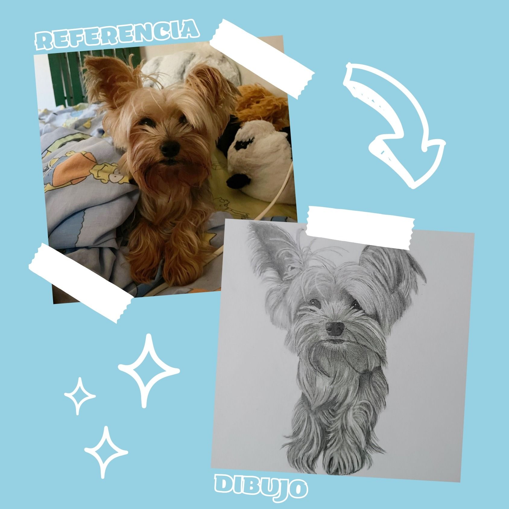 Una imagen de un perro al lado de un dibujo del mismo perro.