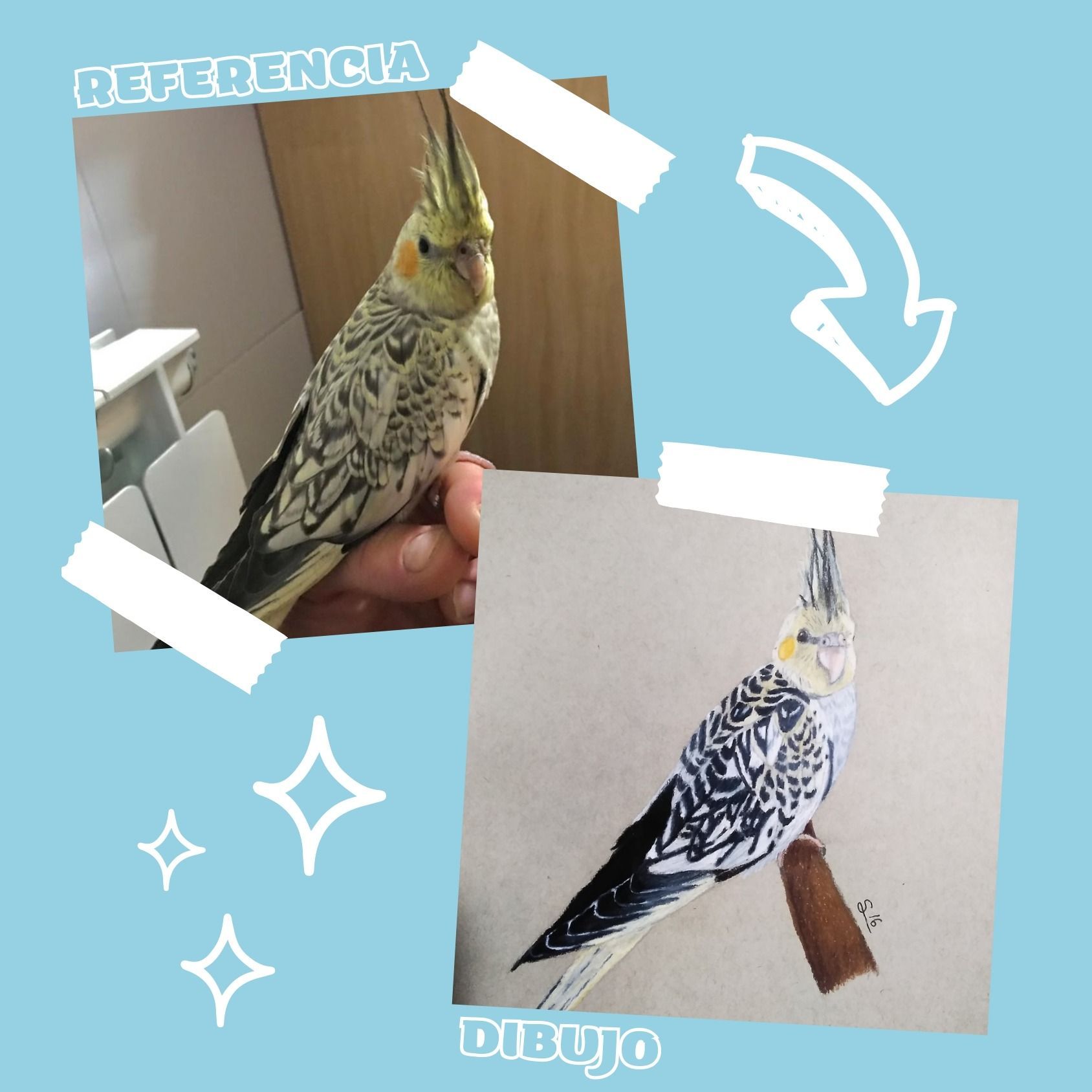 Una persona sosteniendo un pájaro junto a una imagen de un pájaro en una rama.