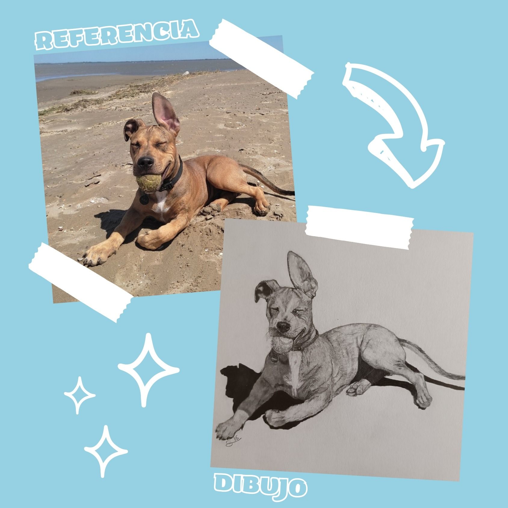 Una imagen de un perro en la playa junto a un dibujo del mismo perro.