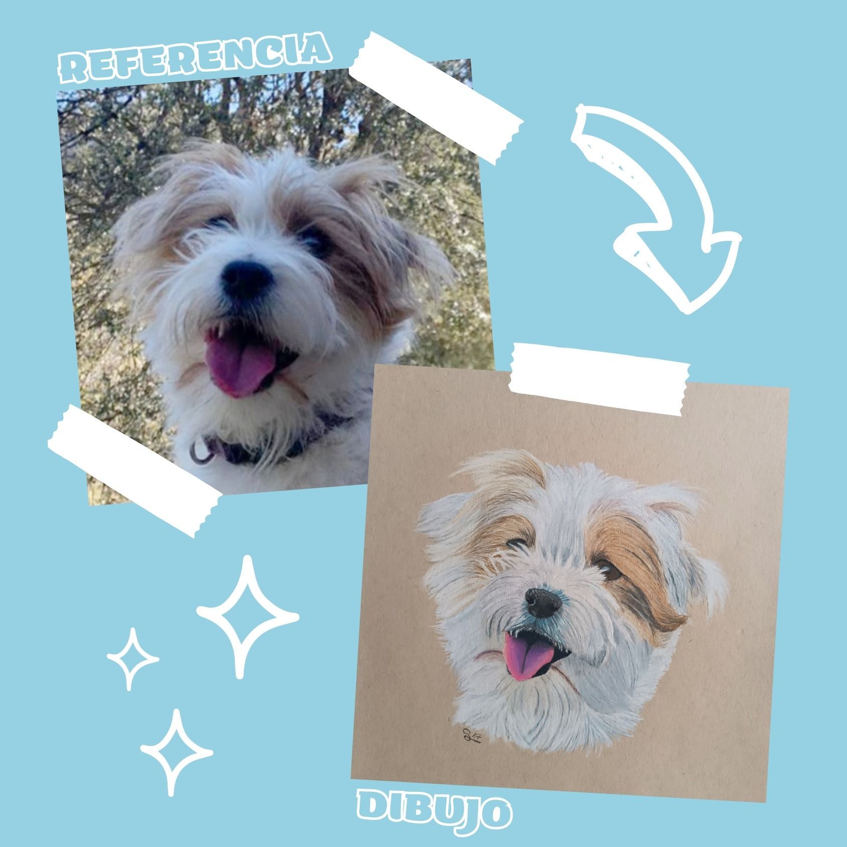 Una imagen de un perro al lado de un dibujo del mismo perro.