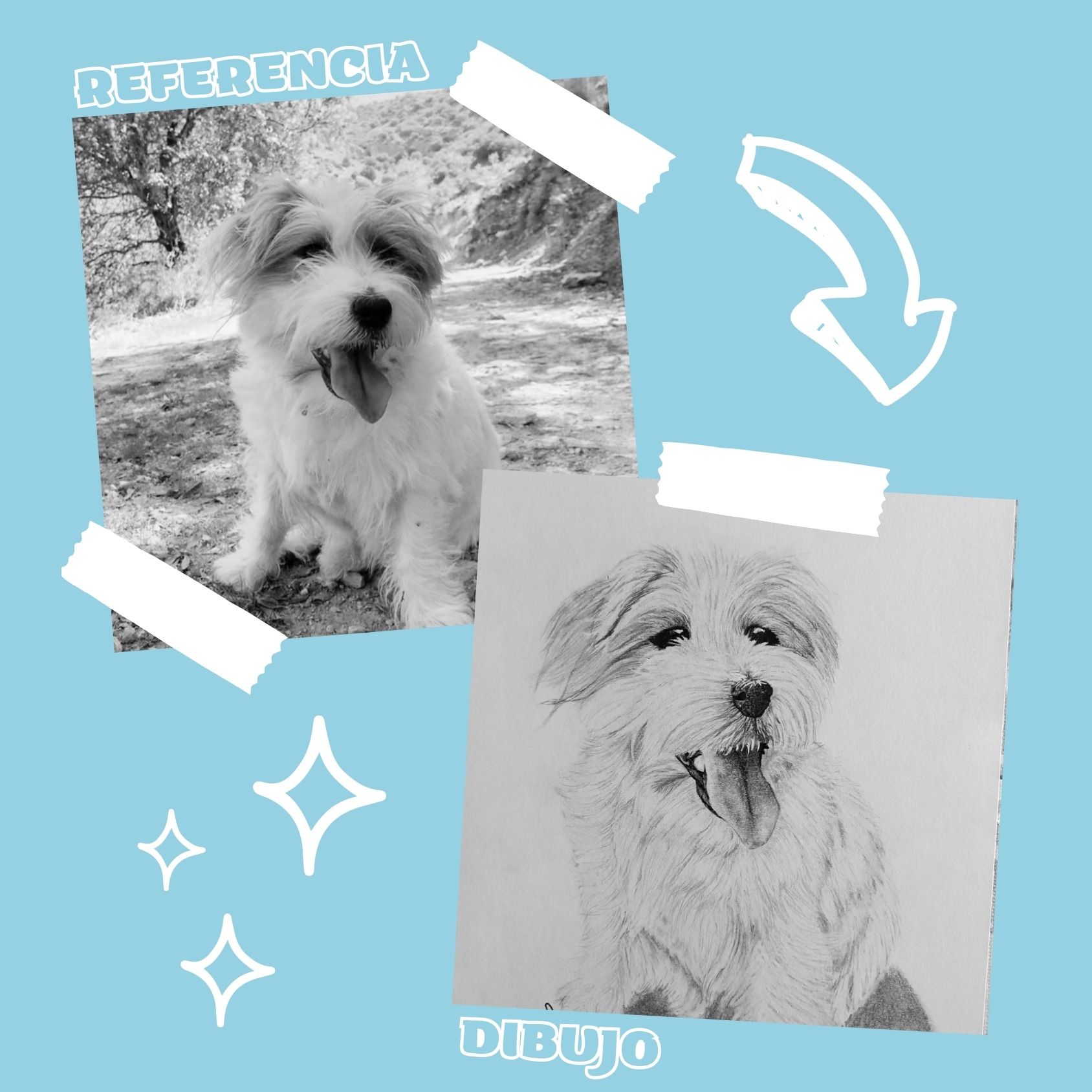 Una foto en blanco y negro de un perro junto a un dibujo del mismo perro.