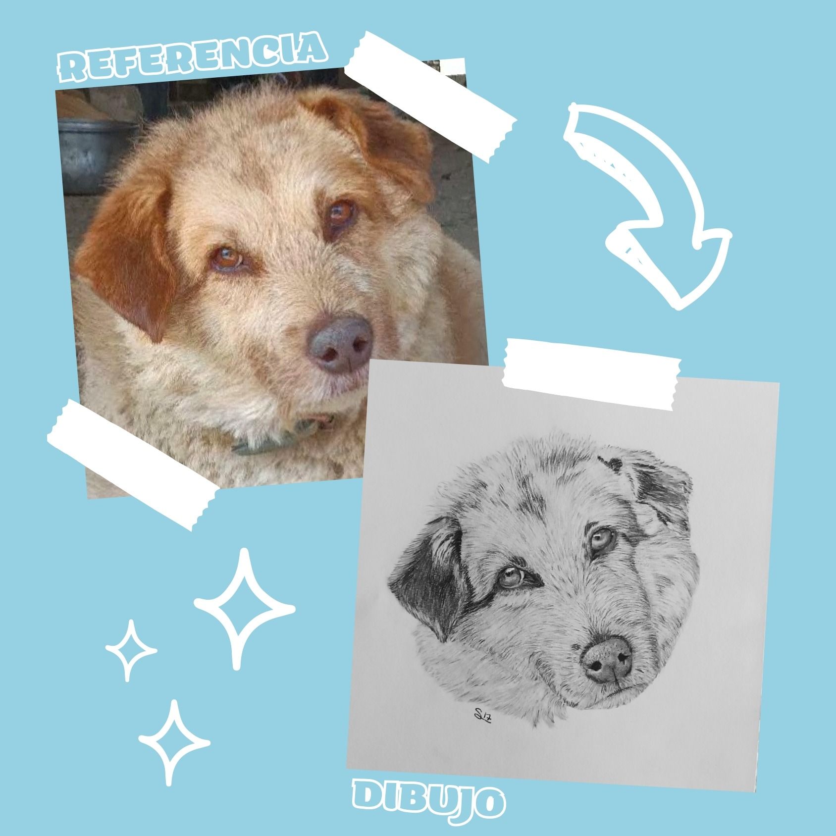 Una imagen de un perro al lado de un dibujo del mismo perro.