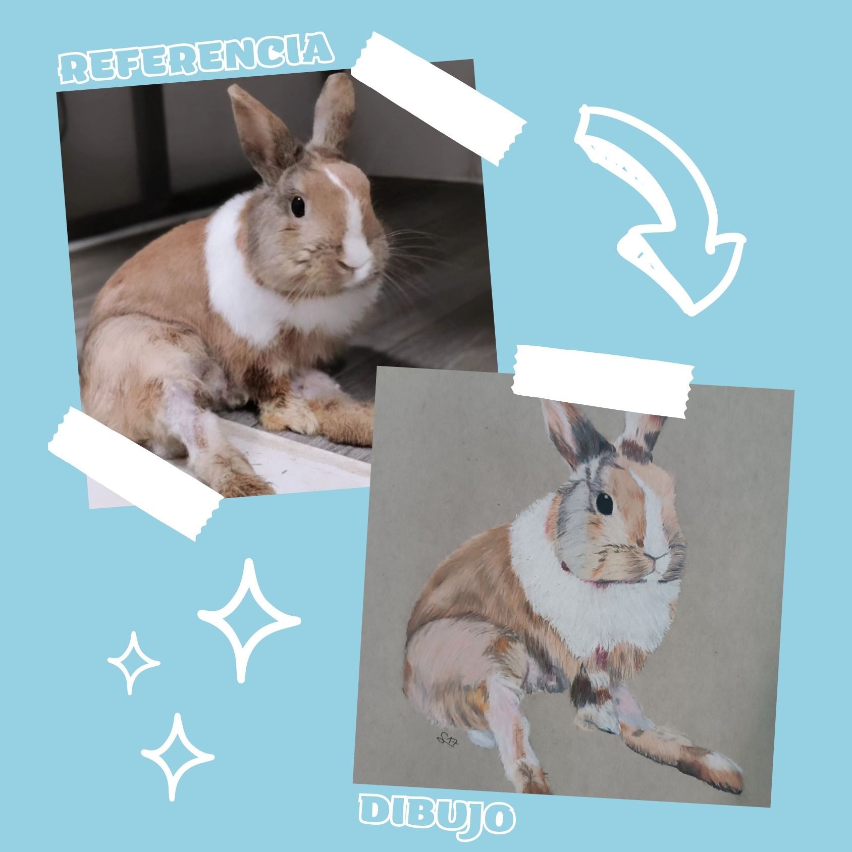 Una imagen de un conejo marrón y blanco junto a un dibujo del mismo conejo.