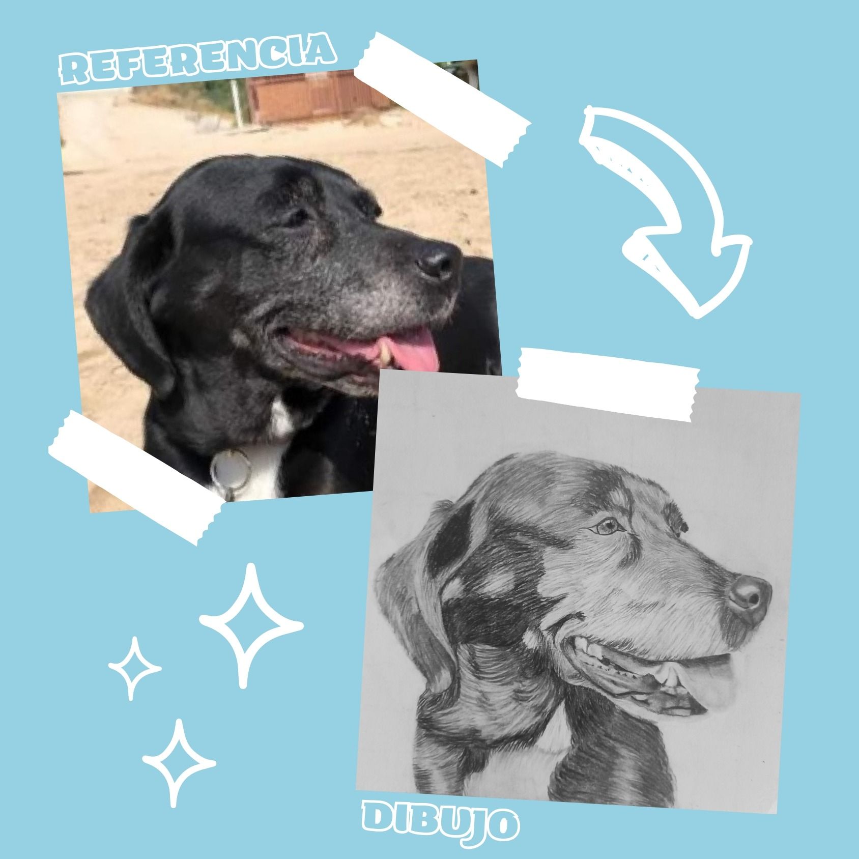 Una imagen de un perro negro junto a un dibujo del mismo perro.