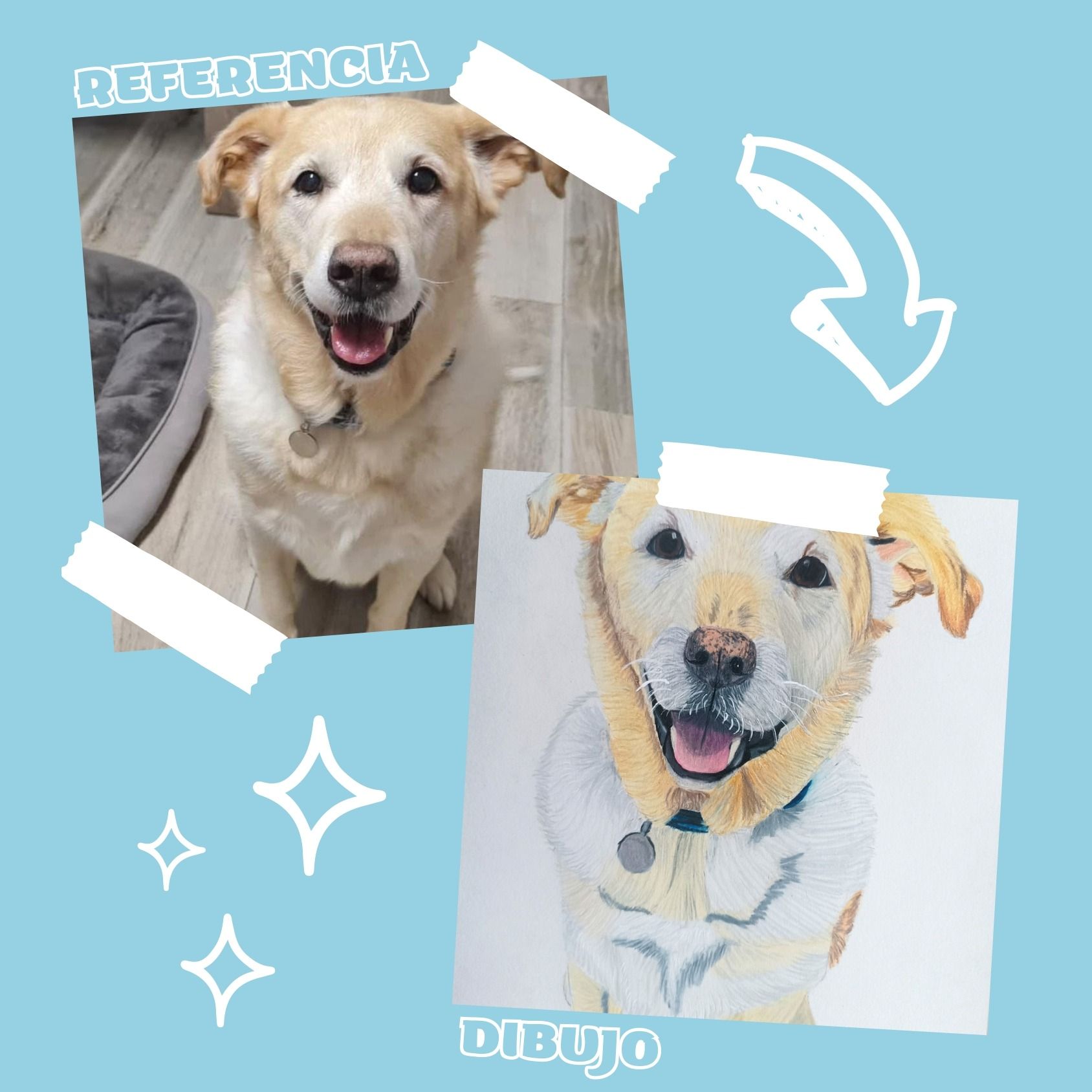 Una imagen de un perro al lado de un dibujo del mismo perro.