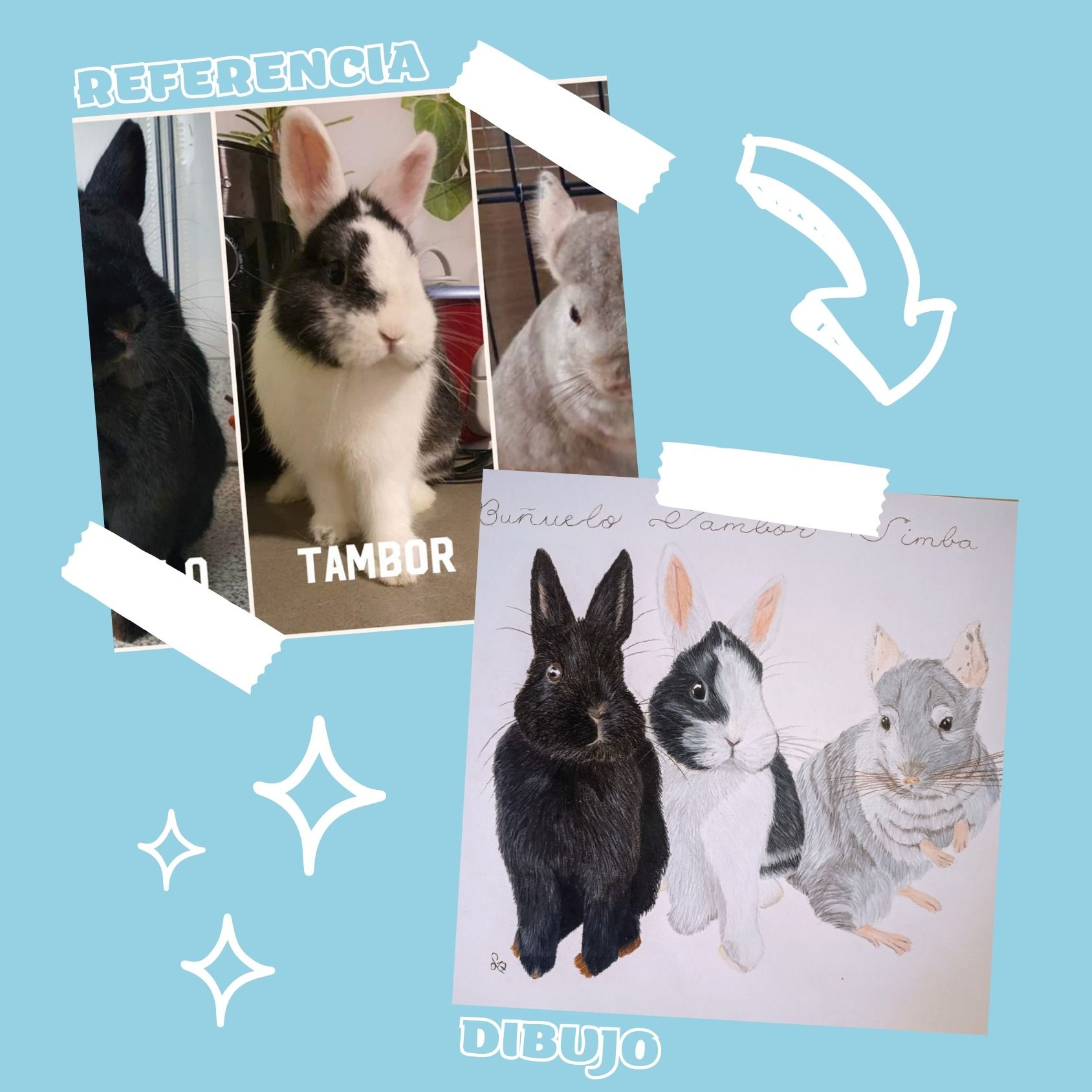 Un collage de imágenes de conejos y un dibujo de un conejo.