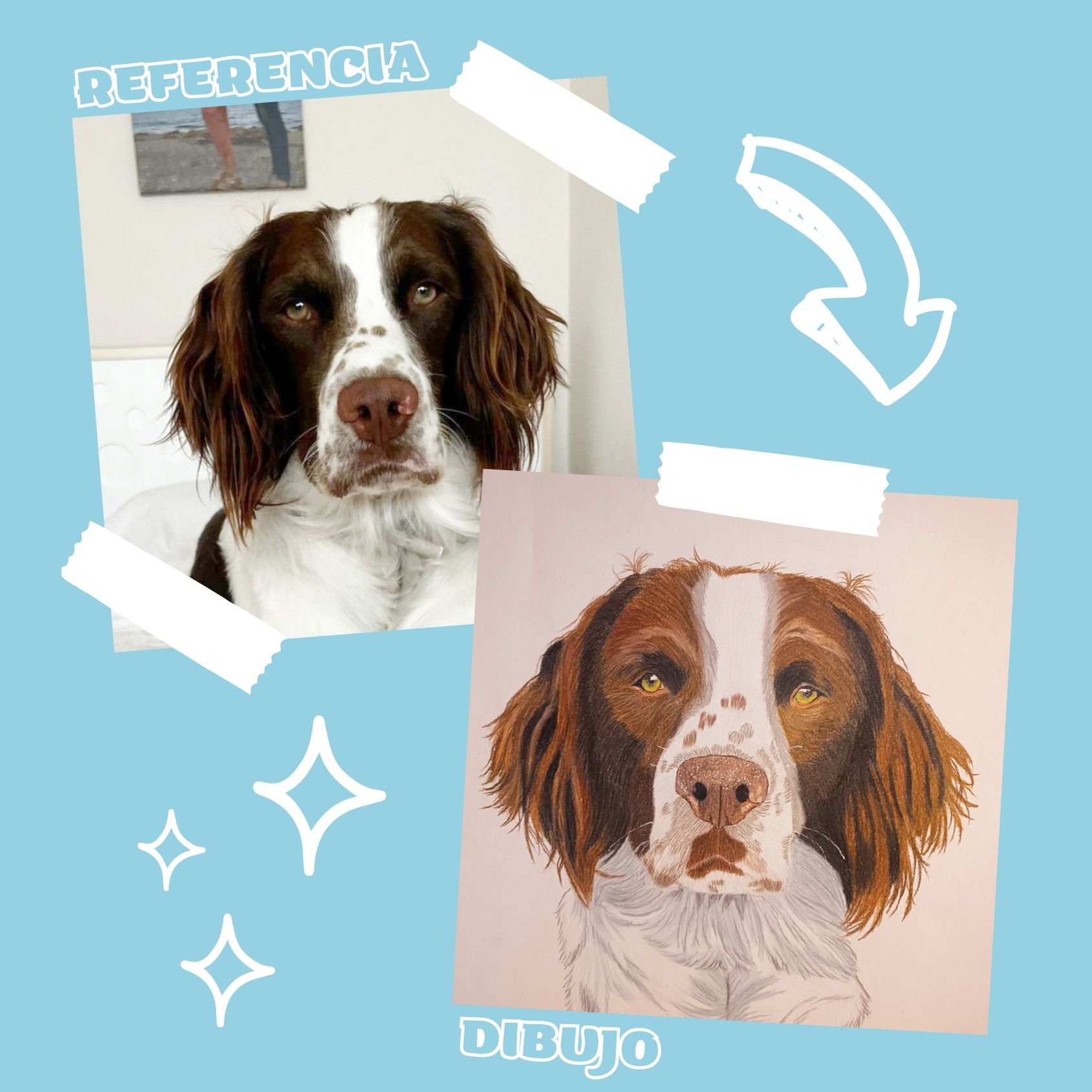 Una imagen de un perro marrón y blanco junto a un dibujo del mismo perro.