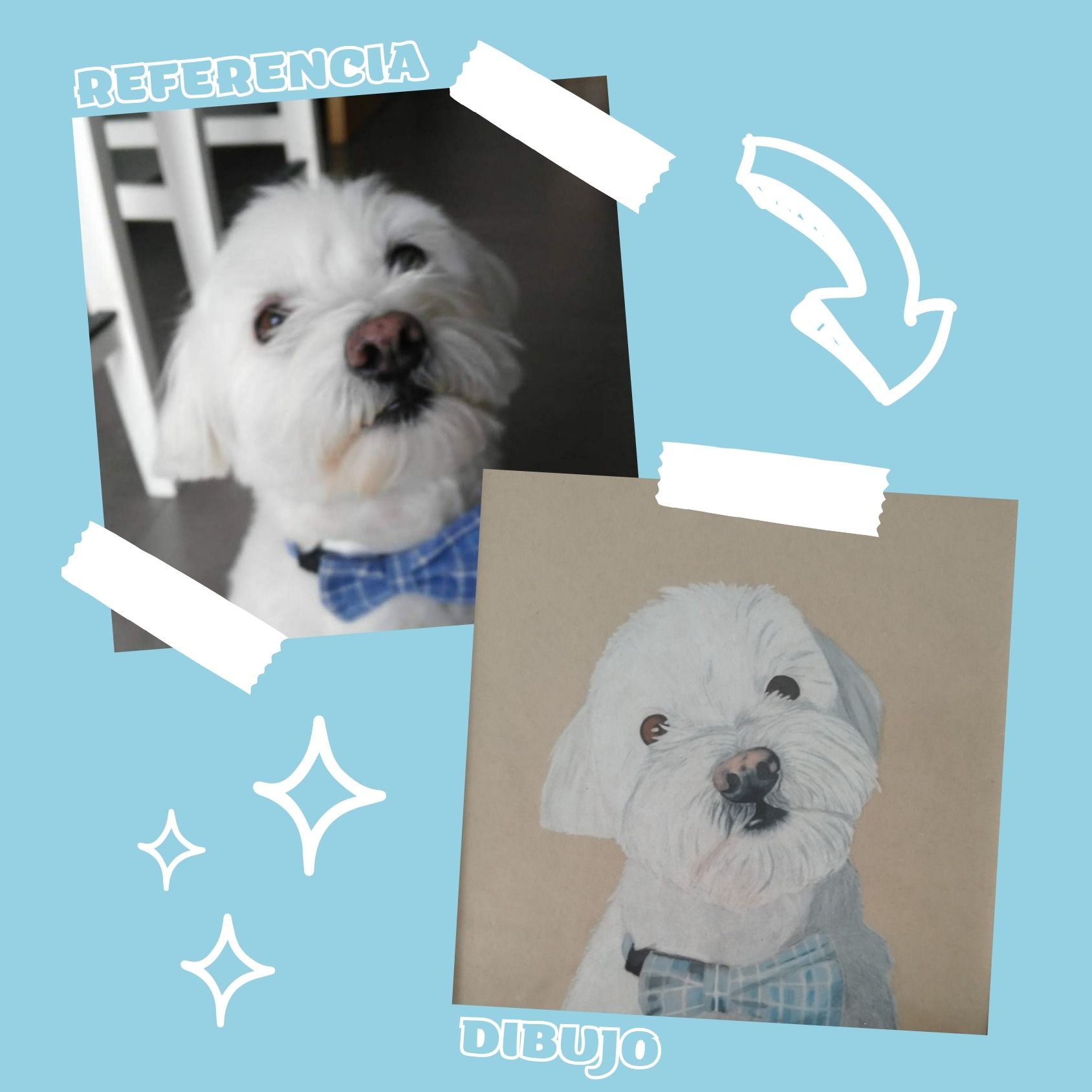 Una imagen de un perro blanco con una pajarita azul junto a una imagen de un perro blanco sin pajarita