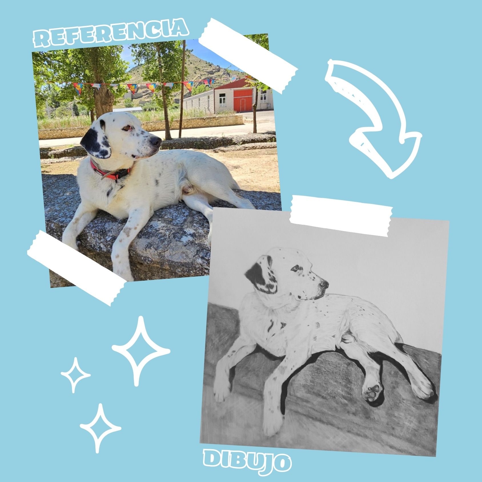 Una imagen de un perro dálmata junto a un dibujo del mismo perro.