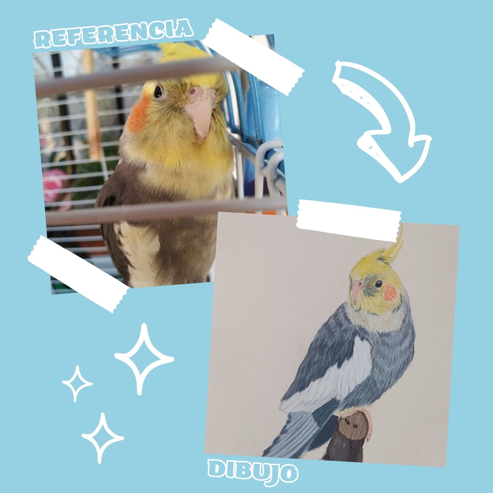 Una imagen de un pájaro en una jaula junto a un dibujo del mismo pájaro.