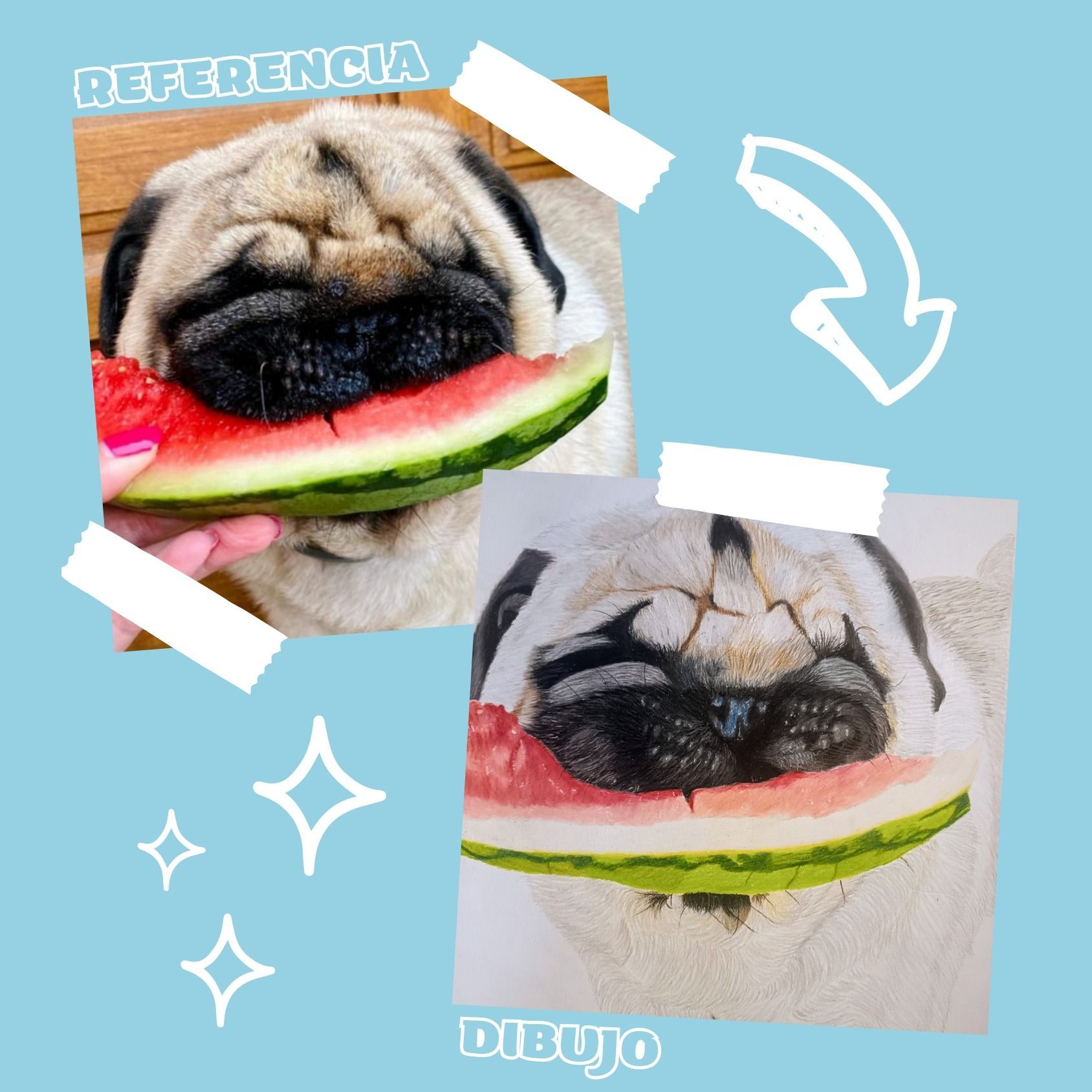 Un perro pug está comiendo una rebanada de sandía
