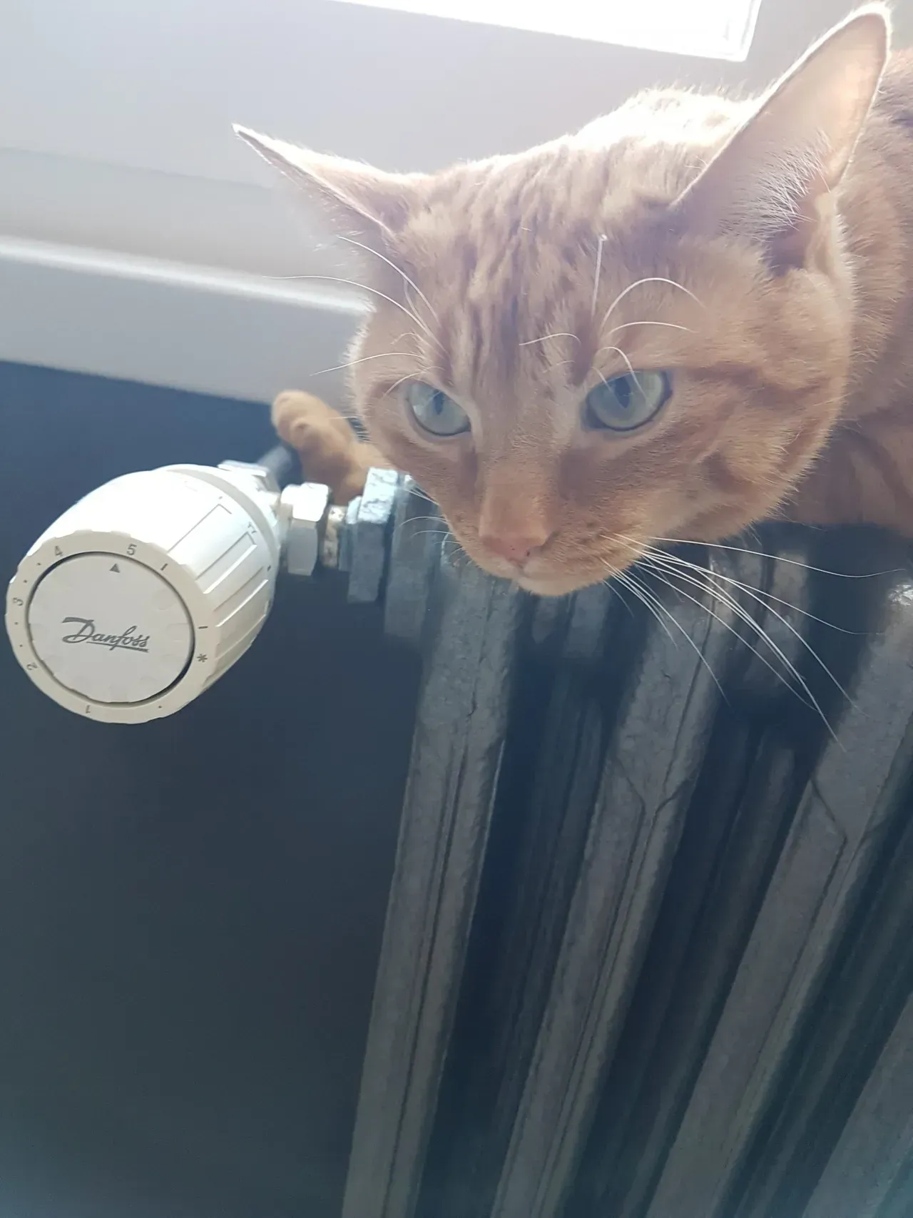 Robinet thermostatique