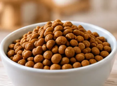 Bol blanco lleno de trozos redondos marrones de cereal o aperitivos.
