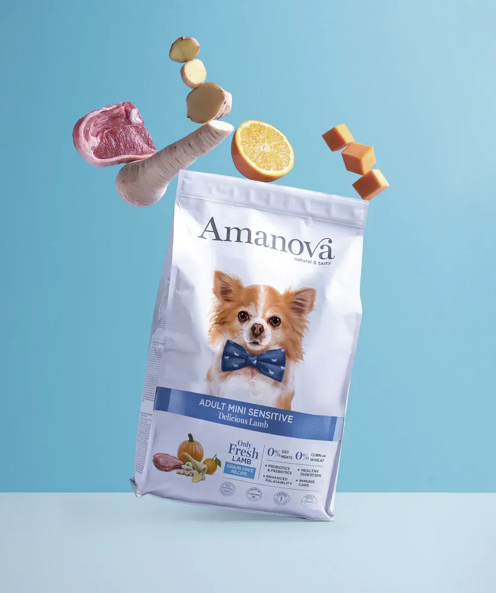 Bolsa de comida para perros con la imagen de un chihuahua sobre un fondo azul, rodeada de golosinas