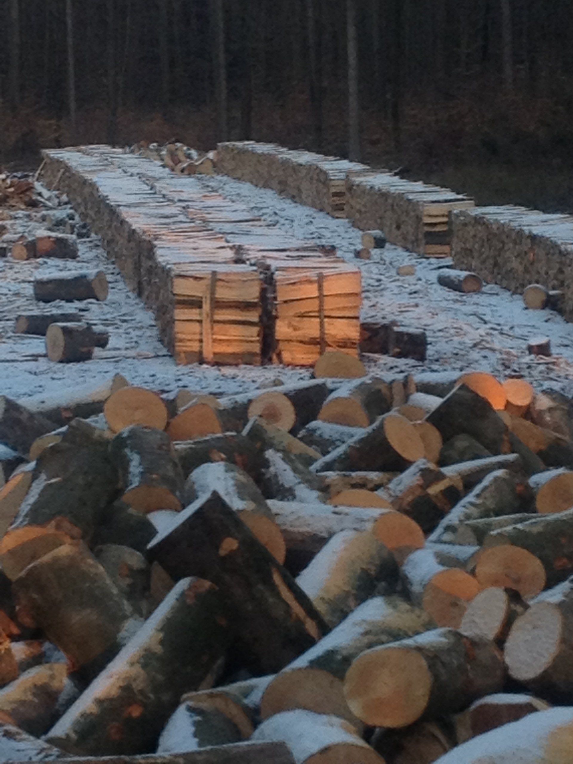 Bois de chauffage - bûche 50cm