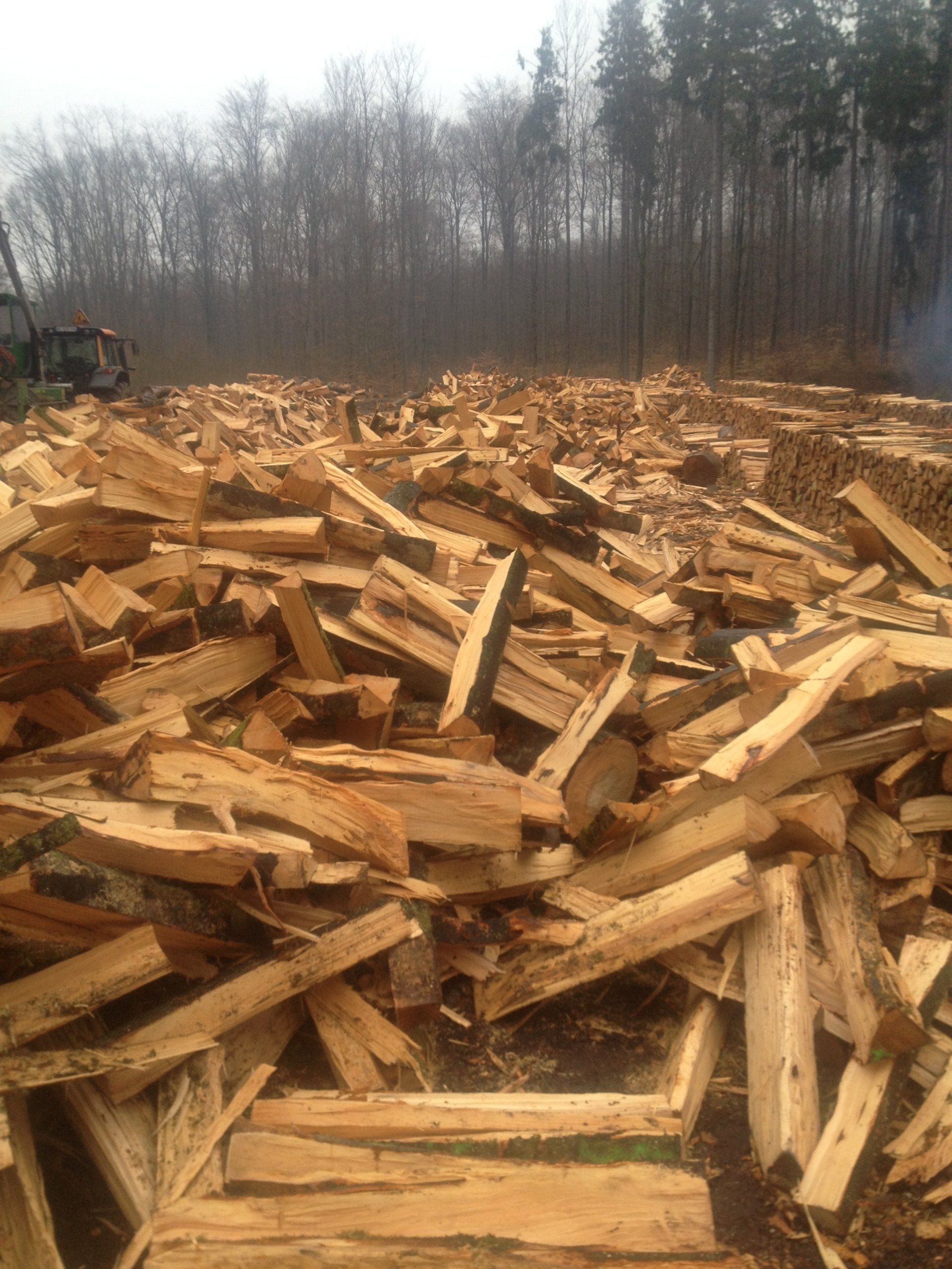 Bois de chauffage - bûche 100cm