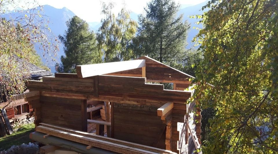 Cabane en bois en construction dans un cadre montagneux, entourée d'arbres.