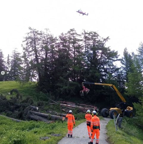 Des ouvriers forestiers en uniforme orange inspectent un site d'exploitation forestière ; un hélicoptère survole la zone.