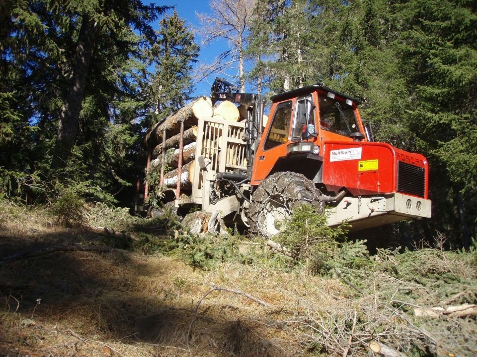 Camion grumier rouge chargé de grumes sur un flanc de colline boisée.
