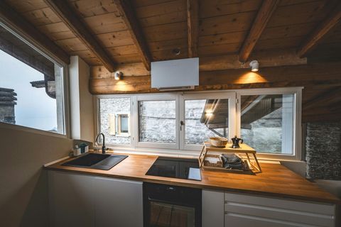 Cuisine moderne avec placards en bois foncé, four et évier en inox. Une plante orne un coin.