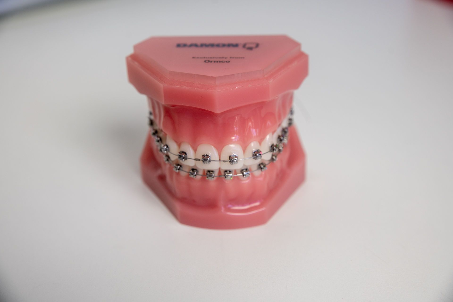 Gebissmodell mit Brackets