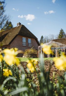 Ein Haus mit Strohdach an einem sonnigen Tag, Narzissen im Vordergrund und ein Pavillon im Hintergrund.