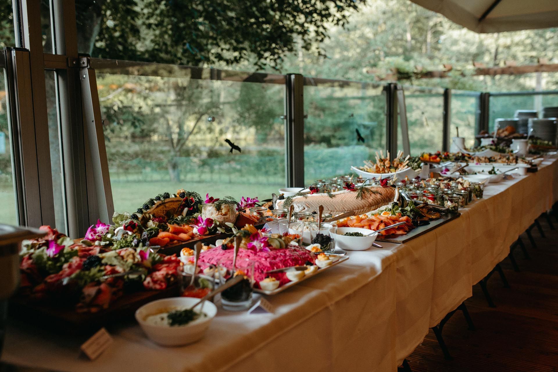 Langer Buffettisch mit farbenfrohen Speisen und Blick auf eine üppige Landschaft im Freien.