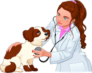 dierenarts onderzoekt een hond