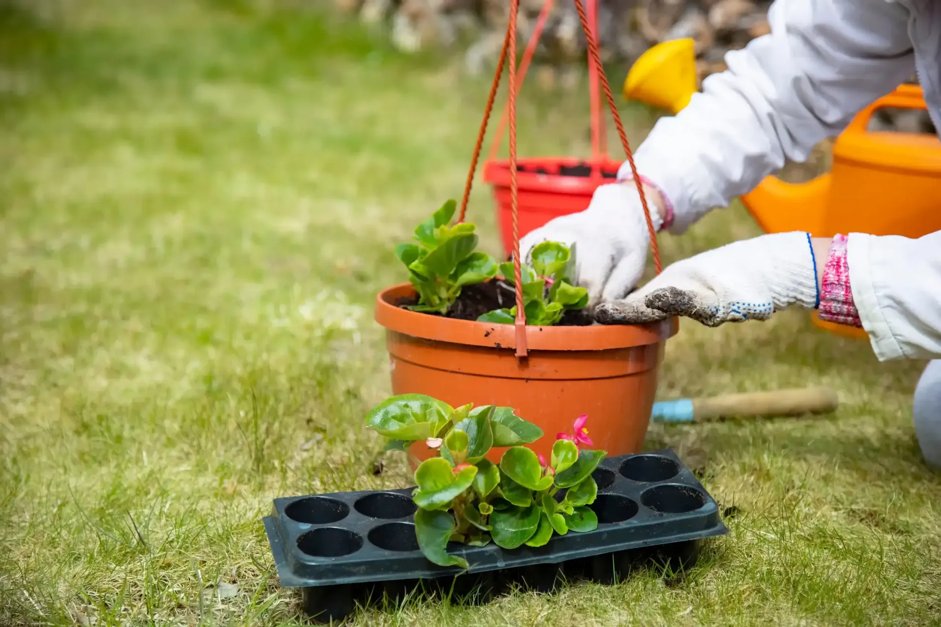 Una persona está plantando flores en macetas en un jardín.
