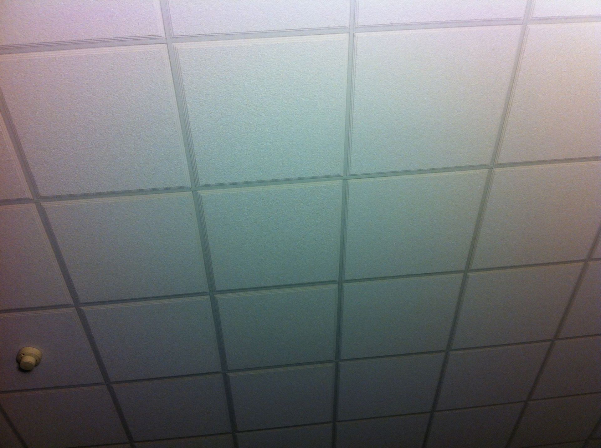 Plafond acoustique - Staff deco Scheidegger SA