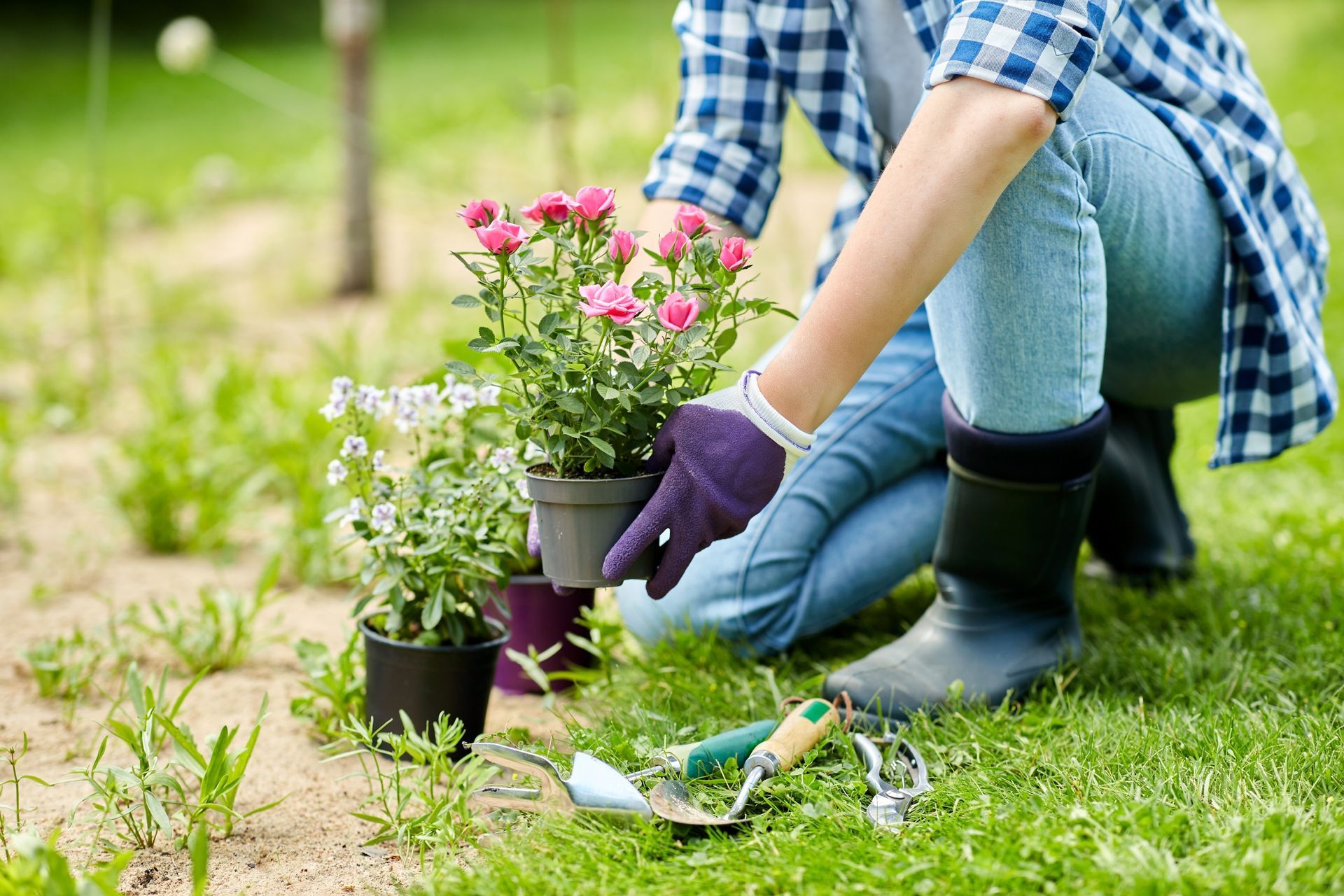Une personne plante des fleurs dans un jardin, portant des gants et des bottes, avec des outils au sol.