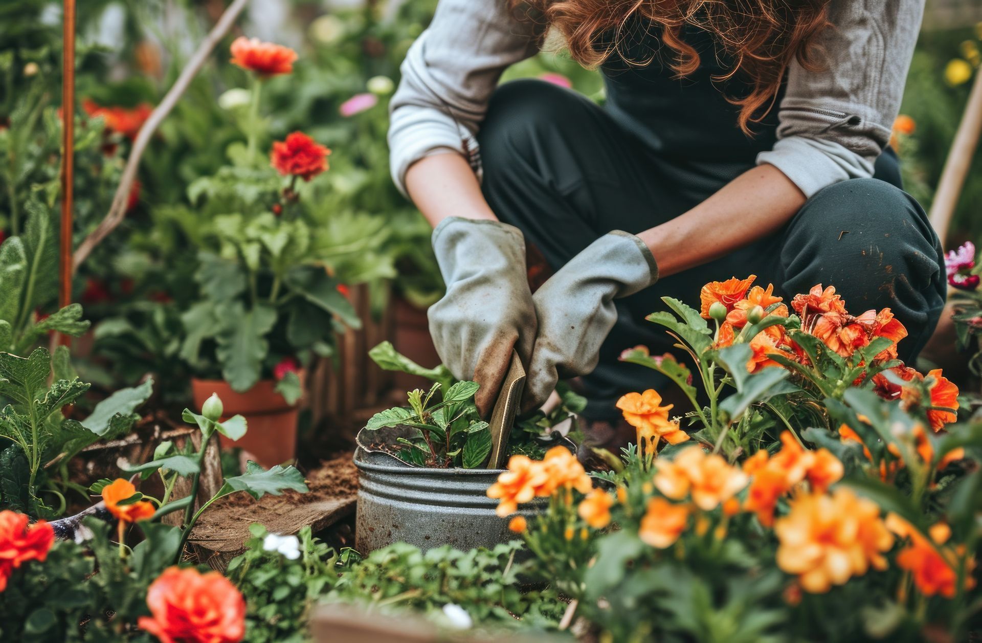 Femme jardinant, portant des gants, au milieu de fleurs colorées.