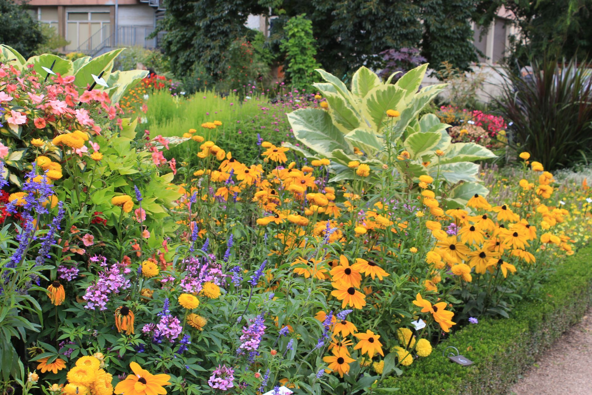 Appareil photo vintage argenté et noir posé sur des touches de piano, gros plan sur fond flou.