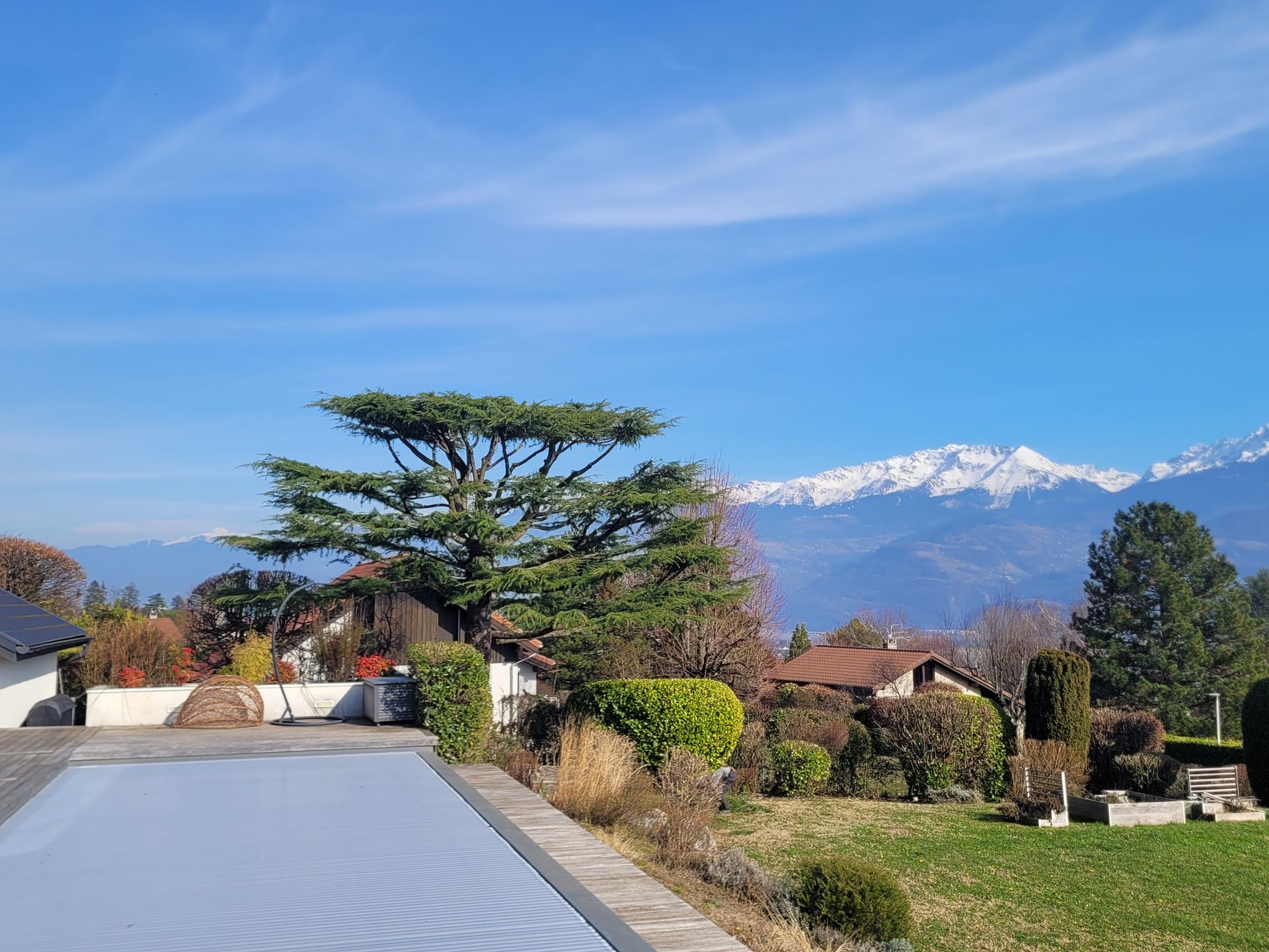 Allée résidentielle avec jardin soigné, grand arbre et montagnes enneigées sous un ciel bleu