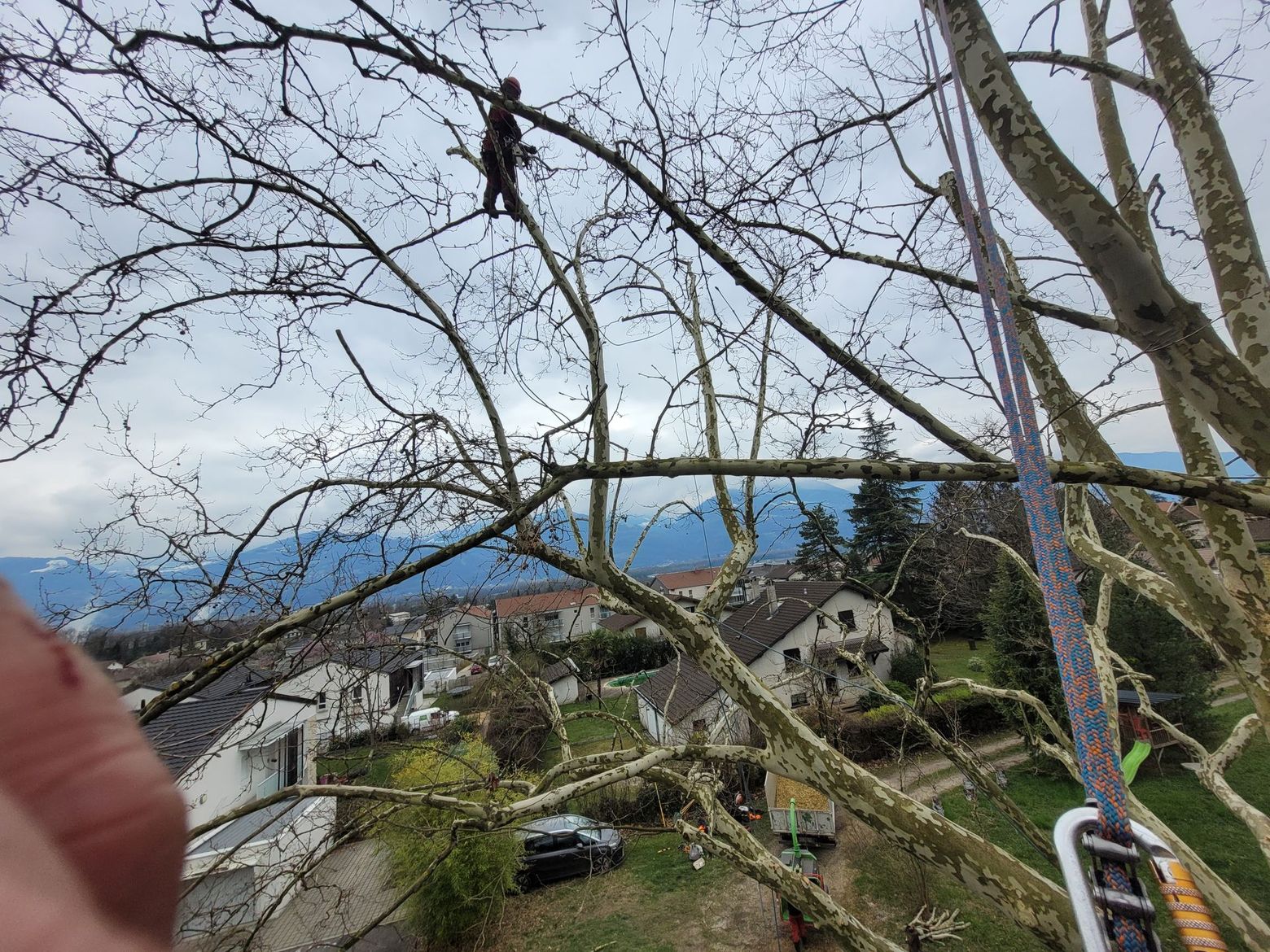 Vue depuis une colline sur les toits, les branches dénudées et, au loin, une mer bleue sous un ciel nuageux.
