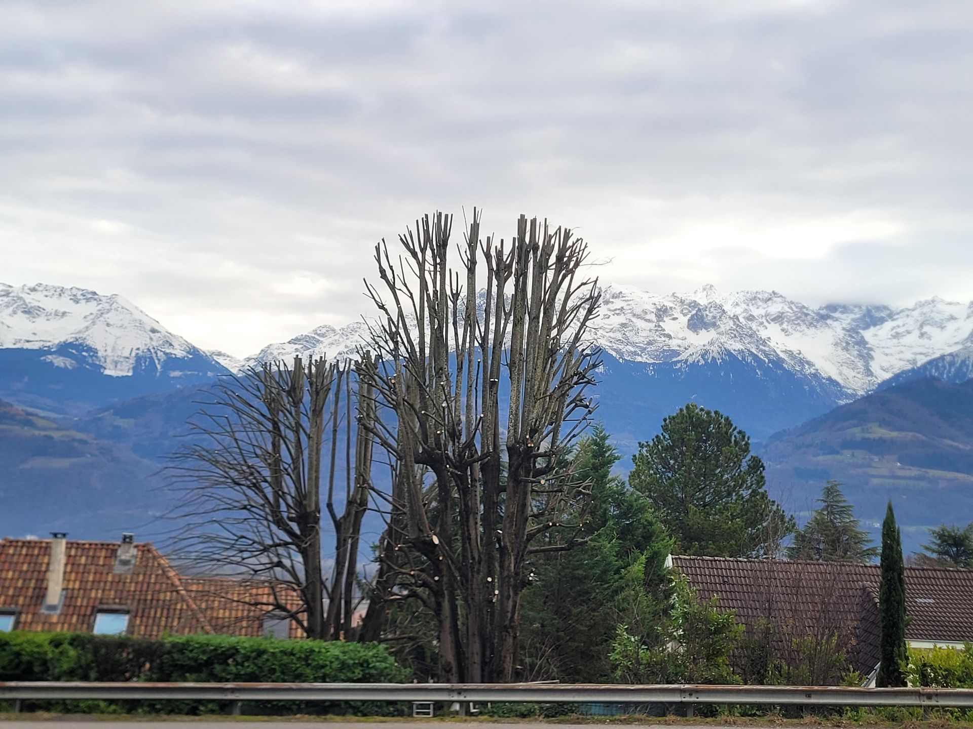 Arbres dénudés en hiver devant les maisons et montagnes enneigées sous un ciel nuageux