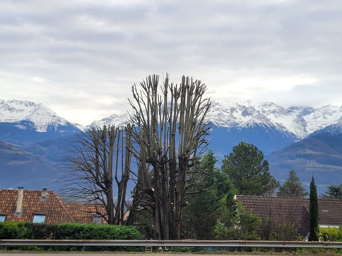 Montagnes enneigées derrière les toits et grands arbres dénudés sous un ciel nuageux