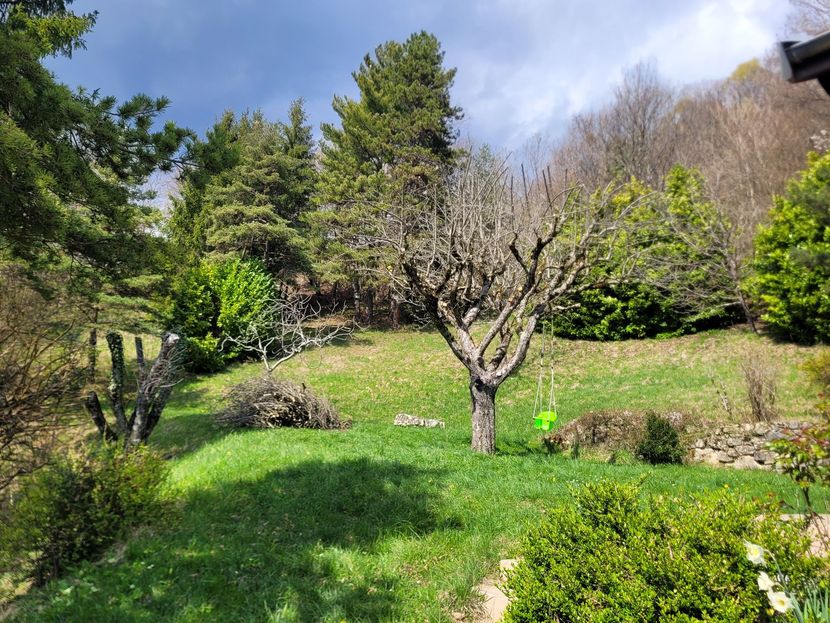 Jardin ensoleillé avec pelouse verte, arbres en fleurs et arbustes à flanc de colline