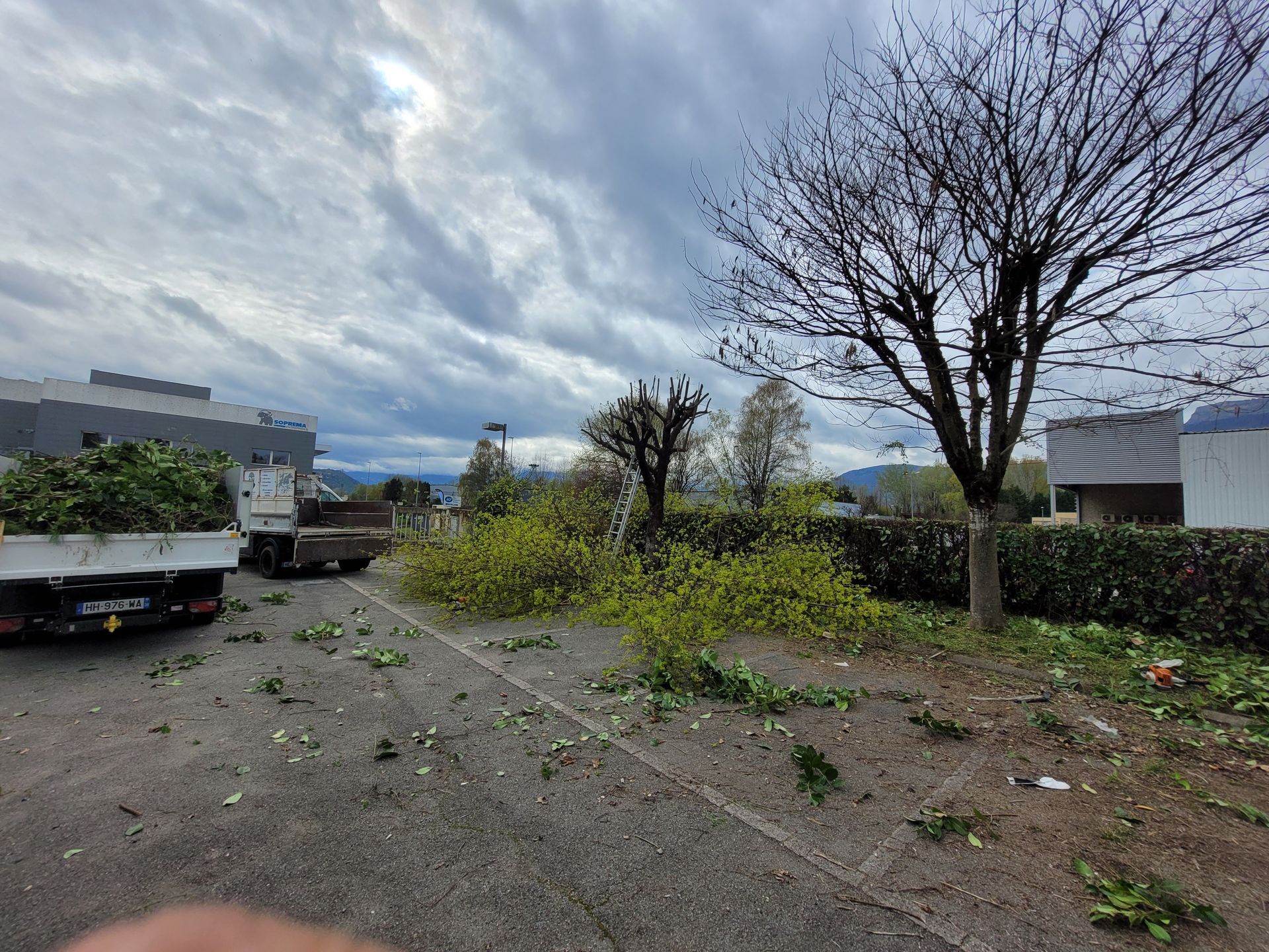 Terrain vague envahi par la végétation, avec un camion stationné, des arbres dénudés et un ciel nuageux derrière des bâtiments industriels.