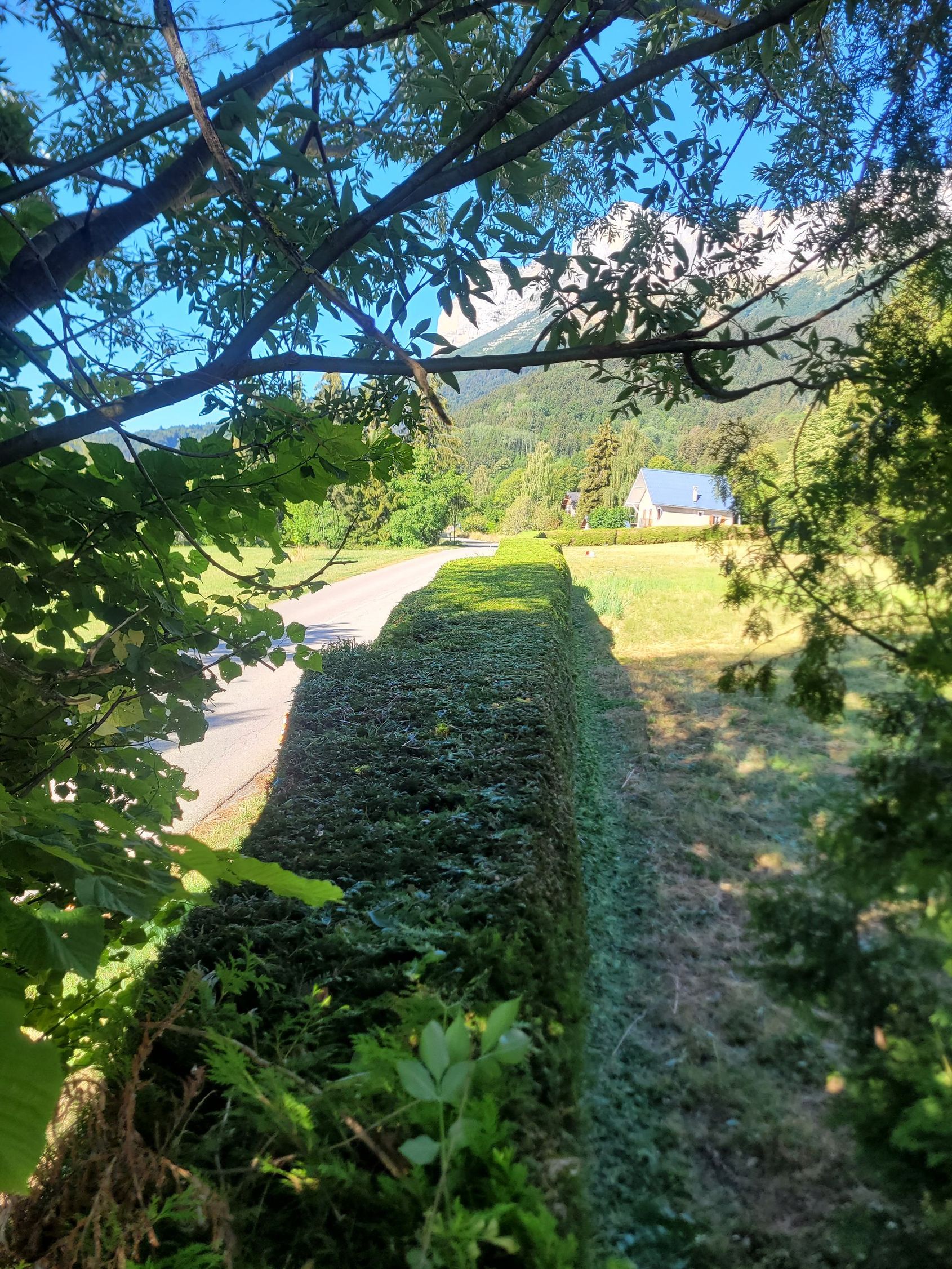 Vue d'un jardin ombragé avec des haies, un chemin et une petite maison au toit bleu au loin.