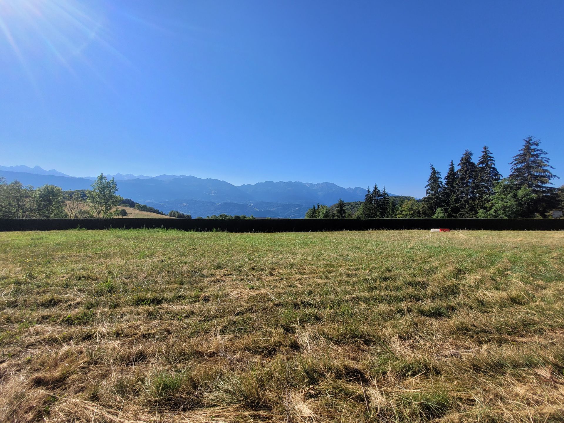 Champ ensoleillé avec de l'herbe sèche, des arbres à feuilles persistantes et des montagnes bleues lointaines sous un ciel dégagé